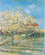 Vincent Van Gogh Flowering orchard oil painting reproduction